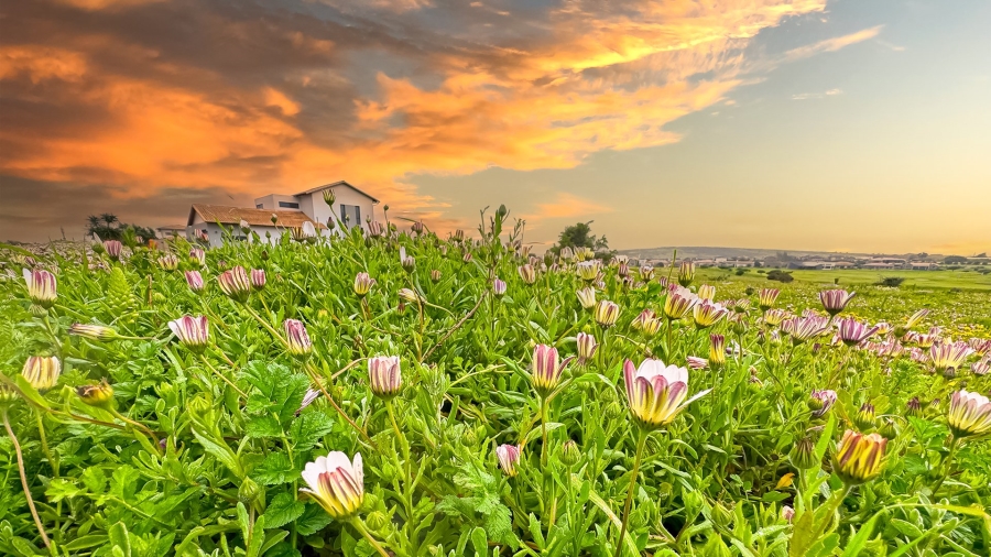  Bedroom Property for Sale in Langebaan Country Estate Western Cape